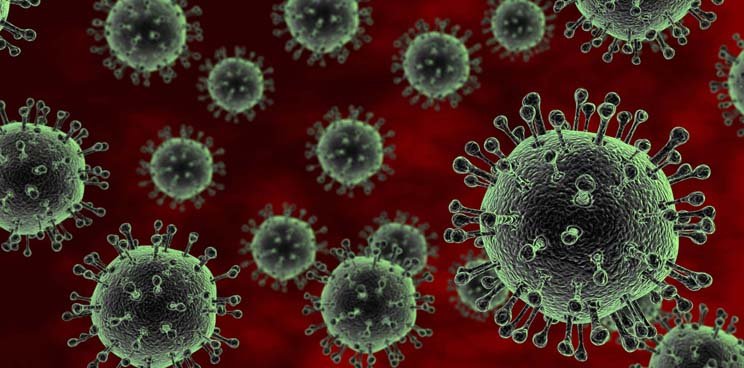 avian_influenza_flu_bird_pandemic_nature_host_imperial