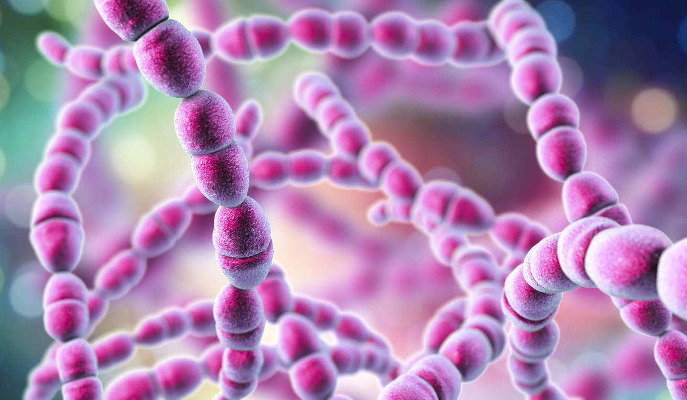 iStock-1077227416_Strep bacteria