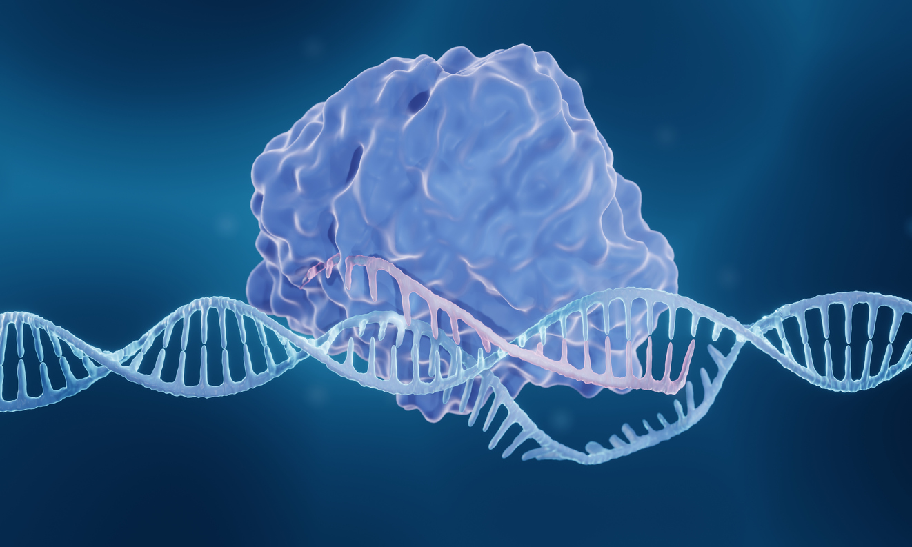 iStock-1398972860_crispr-cas9